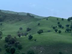 -新疆那拉提国家旅游度假区