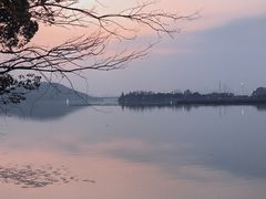 -东湖落雁景区
