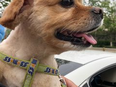 -熊小胖宠物生活馆(天华园店)