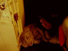 android_upload_pic-猫色咖啡·猫咖