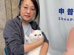 -申普宠物医院·心脏介入·心血管微创(总院)