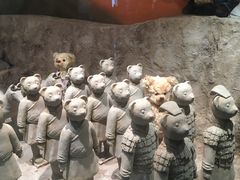 -济州岛泰迪熊博物馆