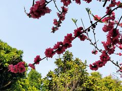 -乌山风景区