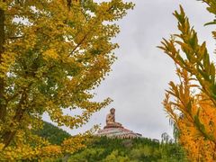 -龙口南山旅游景区