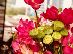 -中央广播电视总台(光华路办公区)