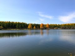 -塞罕坝国家级自然保护区