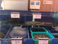 -船歌·鱼水饺青岛菜(金狮广场店)