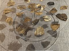 -巴音郭楞蒙古自治州博物馆