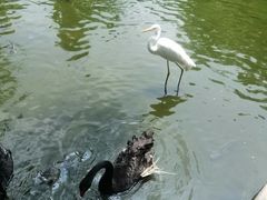 -海南热带野生动植物园