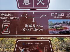 -永定河休闲森林公园