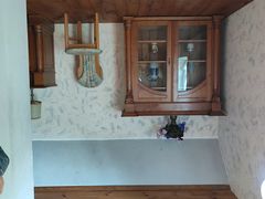 -金山农民画村-枫泾波兰倒置屋