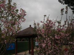 -观澜湖生态运动公社