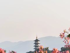 -风云岭森林公园