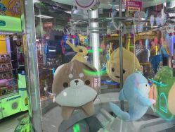 -莫莉幻想儿童乐园(北京华联亦庄购物中心店)