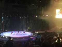 -灵玲国际马戏城