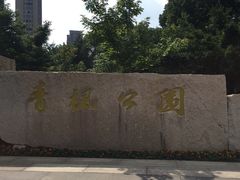 -青枫公园