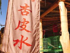 -刘红杏·杏皮水店(月牙泉小镇店)