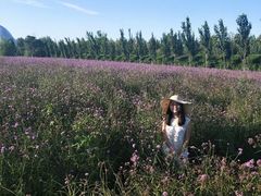 -渔岛海洋度假区