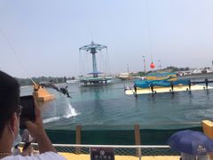 -秦皇岛乐岛海洋王国