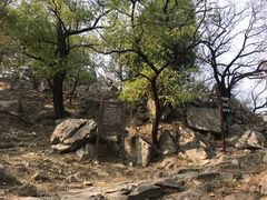 -阳台山自然风景区