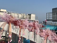 -WFC会仙楼观景台