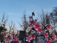 -大雁塔北广场音乐喷泉