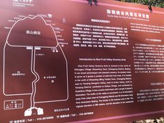 -大岭沟猕猴桃谷风景区