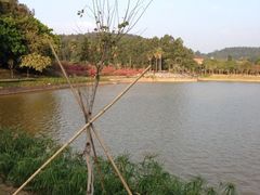 iphone_upload_pic-南国桃园旅游度假区