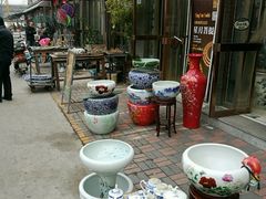 -中环花鸟鱼虫市场