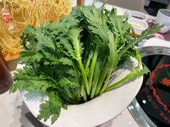 -洪氏嗨捞·广东猪肚鸡·椰子鸡火锅(西咸万象城店)