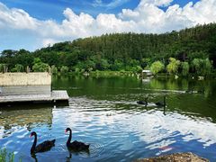 -南京银杏湖乐园