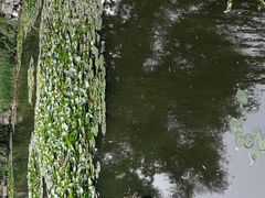 -文瀛公园