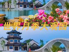 -中国西峡恐龙遗迹园