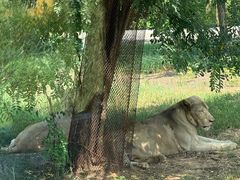 -秦皇岛野生动物园