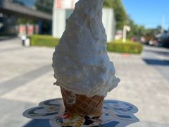 -野人先生现做冰淇淋(北京环宇荟店)