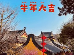 -灵隐飞来峰景区