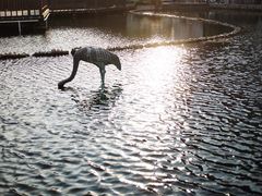 -苏州河梦清园环保主题公园