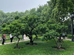 -玲珑塔公园