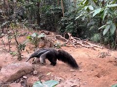-广州长隆野生动物世界