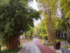 -北湖公园