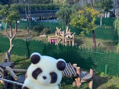 -沈阳森林动物园