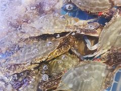 -77号渔船·蒸海鲜青岛菜(积米崖店)