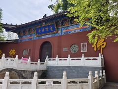 -冶父山国家森林公园