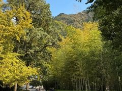 -青岛崂山太清宫