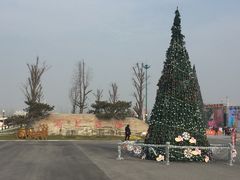 -荷兰花海