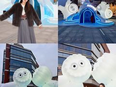 -中粮·祥云小镇
