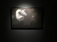 -湖北省美术院美术馆