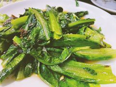 豆豉鲮鱼油麦菜-潮粥馆(长江花园店)