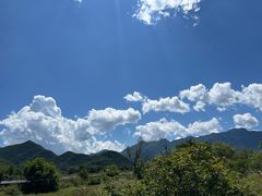 -大九湖