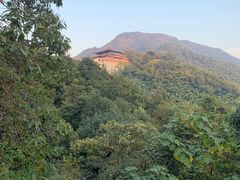 -龙坞茶村